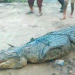 007172700_1561029657-IMG_20190620_175950