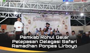 dd311236-1f11-4b59-bed9-6bfb29d25e45